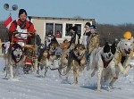 Camp Ripley Is Hosting The Second Annual Winter Warrior Sled Dog Race This Weekend