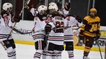 Women's Hockey Ties and Loses to U of M