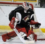 BREAKING: Coyotes Sign SCSU's Mike Lee