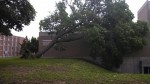 Early Morning Storm Knocks Down Multiple Trees