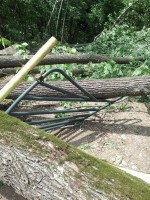 Weather Delays Rockville Park Opening