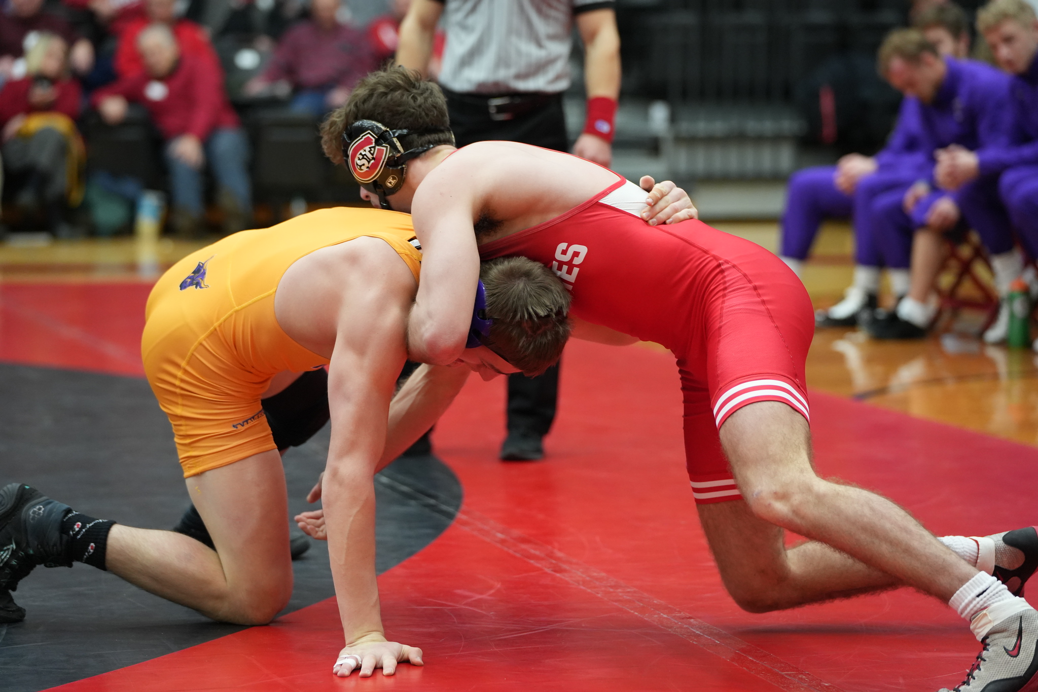 Huskies Wrestling Cruises Past Minnesota State - Vimarsana News