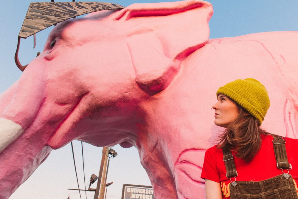 Laney-Pink-Elephant-scaled+(1)