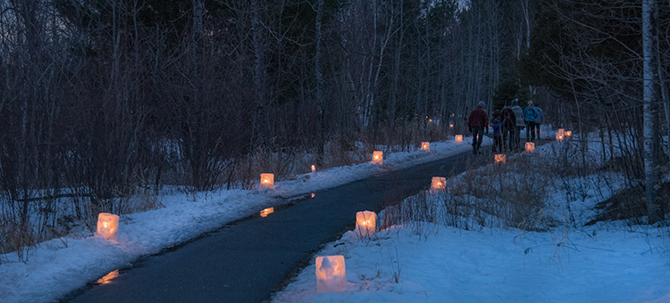 A snowy path through the woods lit by candles