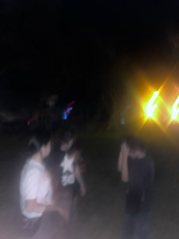 A blurry photo of the band Blue Diner